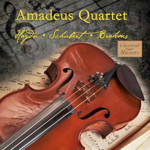 String Quartet In A Major Op. 29, No. 1, D. 804 - Ii. Andante
