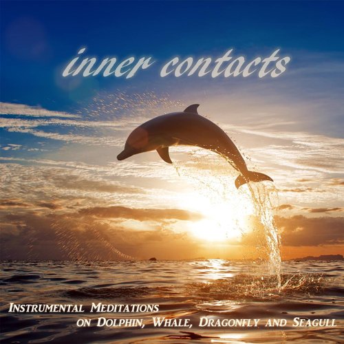 Encounter III: Dolphin (Instrumental)