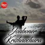 Swapne Bheja Raatire