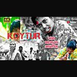 Koytur