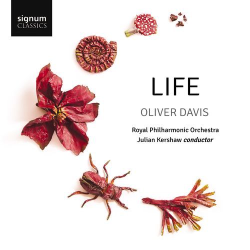 Life Cycle cover art