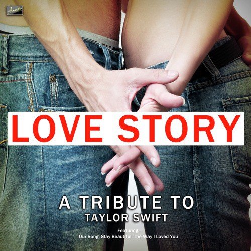 Love Story - A Tribute to Taylor Swift_poster_image