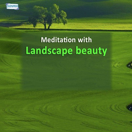 Meditation With Landscape Beauty