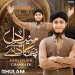 Mera Dil Bhi Chamka De