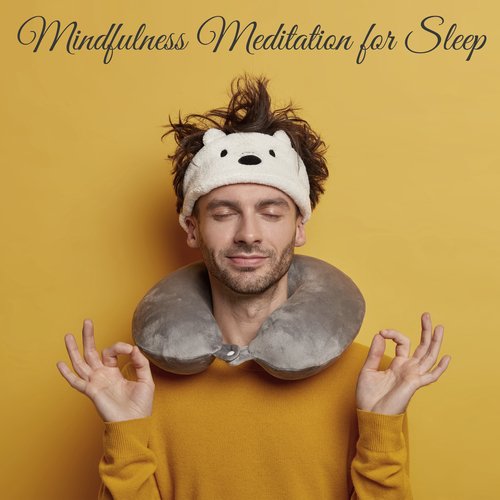 Trouble Sleeping cover art