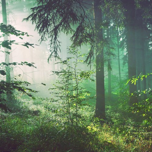 Morning Yoga Music for Positive Energy