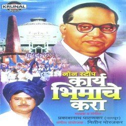 Non Stop Karya Bhimache Kara