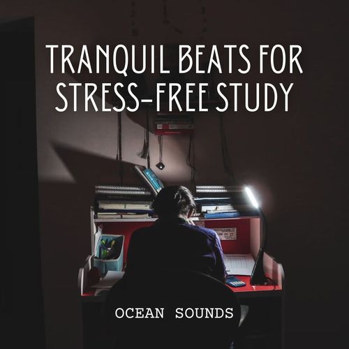 Ocean Sounds: Tranquil Beats for Stress-Free Study_poster_image