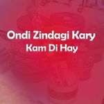 Ondi Zindagi Kary Kam Di Hay