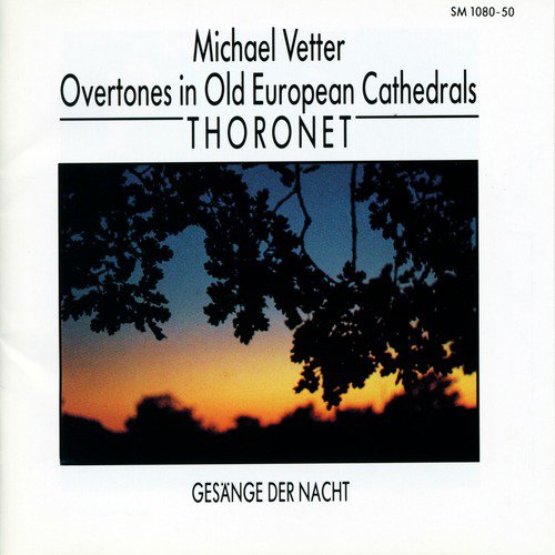 Overtones in Old European Cathedrals: Thoronet