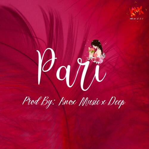 Pari 