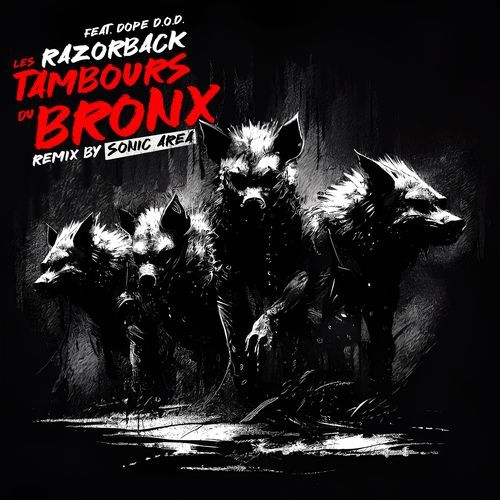 RAZORBACK (Sonic Area Remix)_poster_image