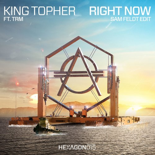 Right Now (feat. TRM) (Sam Feldt Radio Edit)