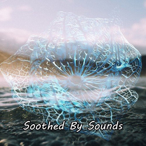 Soothed By Sounds