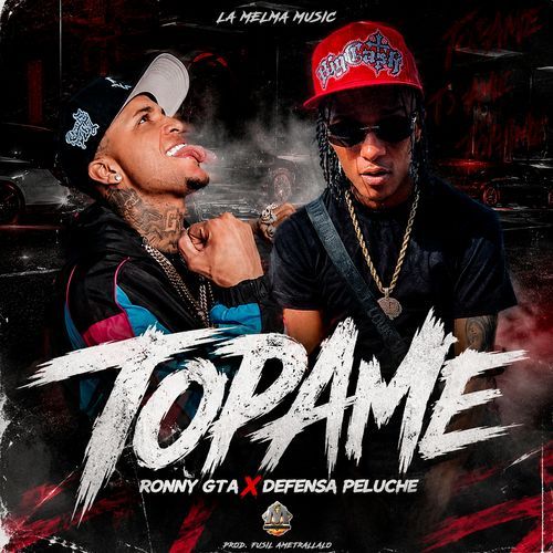 TOPAME