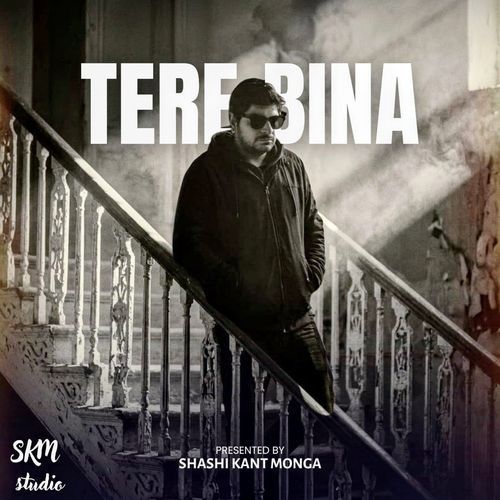 Tere Bina
