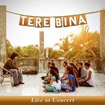 Tere Bina (Live in Concert)
