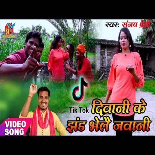 Tik-Tok Diwani  Ke Jhand  Bhaile  Jawani (Bhojpuri Song)