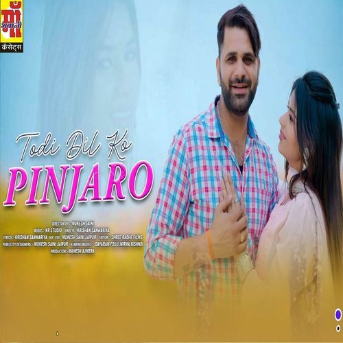 Todi Dil ko Pinjaro