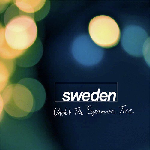 Under the Sycamore Tree