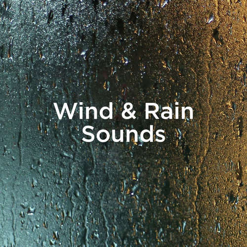 ASMR Rain Sounds cover art