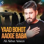 Yaad Bohot Aaoge Baba