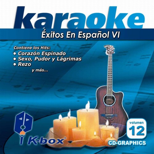 Éxitos En Español VI (Karaoke Version), Vol. 12