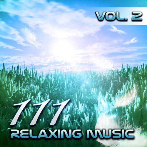 111 Relaxing Tracks Vol. 2 – Spa, Massage, Relaxation, Meditation, Reiki, Yoga, Sleep Therapy, Relax Sessions, Natural White Noise