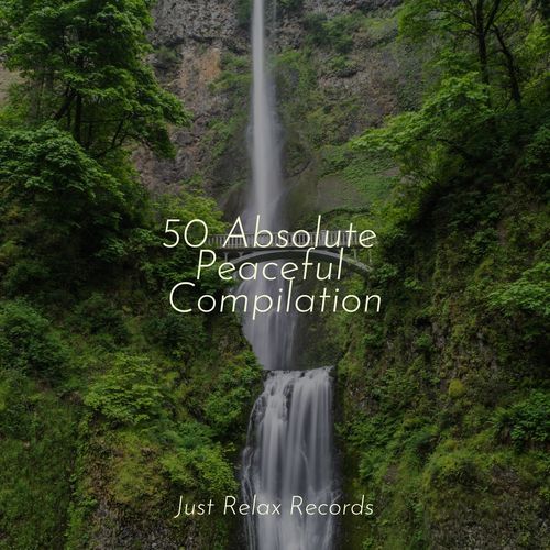 50 Absolute Peaceful Compilation_poster_image