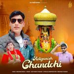 Aadignesh Chndohi