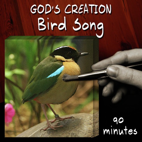 Bird Song (90 Minutes)