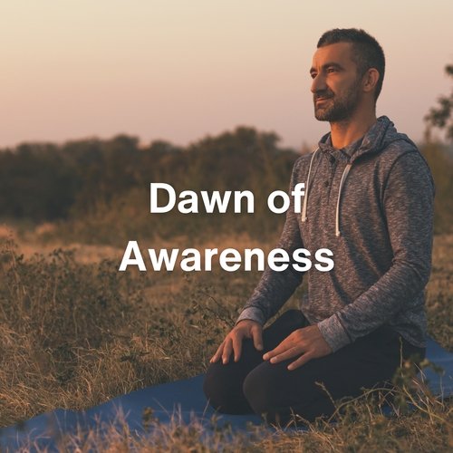 Dawn of Awareness_poster_image