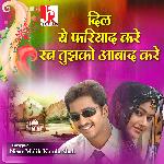 Dil Ye Fariyad Kare Rab Tujhko Aabad Kare