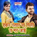 Ekar Bhataar Na Mili Ta Mar Jaai