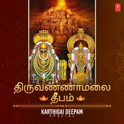 Karthigai Deepam Special