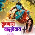 Krishnaya Vasudevaya