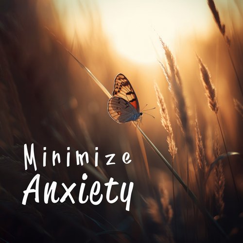 Minimize Anxiety: Music to Reduce Daily Stress_poster_image