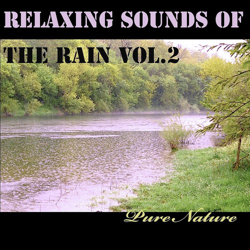 Relaxing Sounds of the Rain, Vol. 2_poster_image