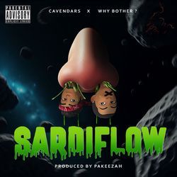 Sardi Flow-NRsFdR5IYUc