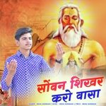 Sovan Shikhar Karo Vasa artwork