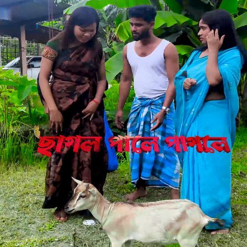ছাগল পালে পাগলে