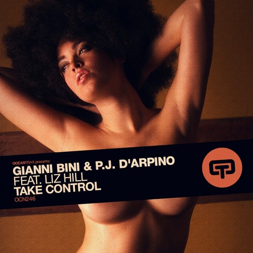 Take Control (Beenie &amp; Pj Vocal Mix)_poster_image