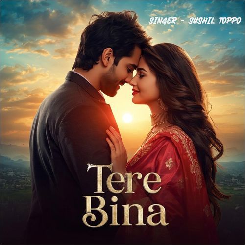 Tere Bina