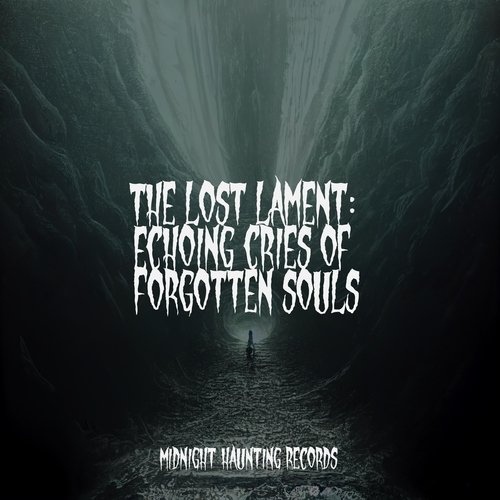 The Lost Lament: Echoing Cries of Forgotten Souls_poster_image