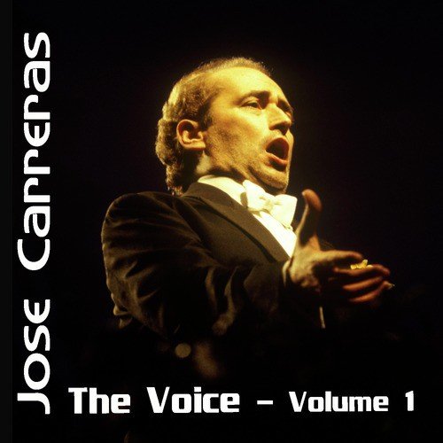 The Voice Volume 1