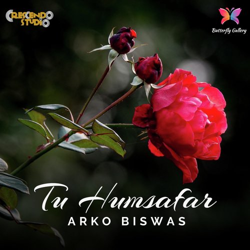 Tu Humsafar