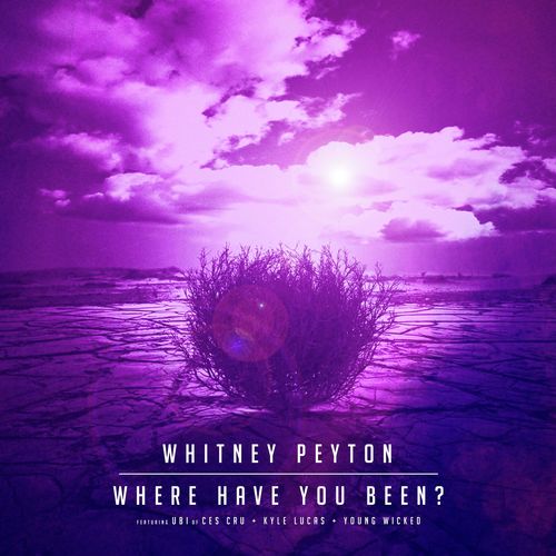 Where Have You Been? (feat. UBI, Kyle Lucas &amp; Young Wicked)_poster_image