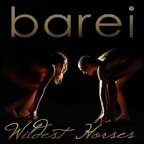 Wildest Horses