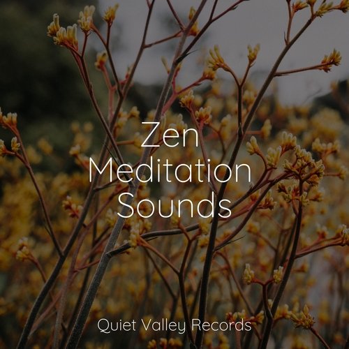 Zen Meditation Sounds