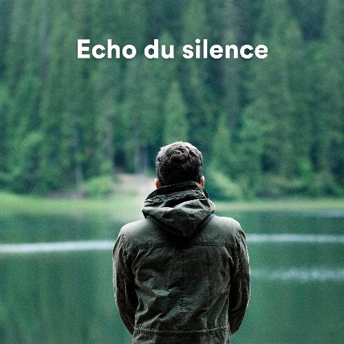 Écho du Silence_poster_image